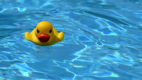 Was tun deine Mitarbeiter im Home Office?