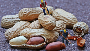 Komplexität managen mit agilem Mindset