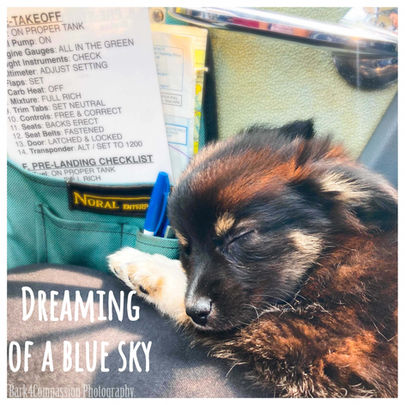 Dreaming of a Blue Sky