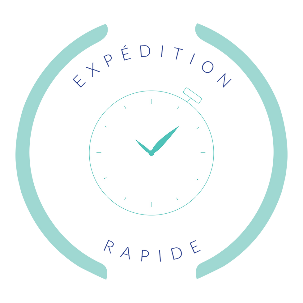 Pictogramme_accueil_Expedition_rapide