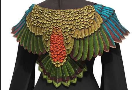 Sanctury Given close up of wings