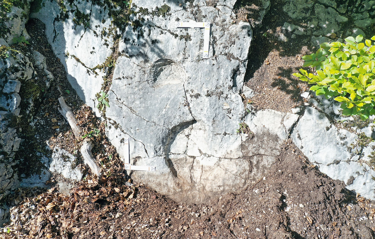 DJI_0755_edited.jpg