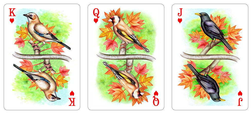 Thumbnail: Feathered Friends