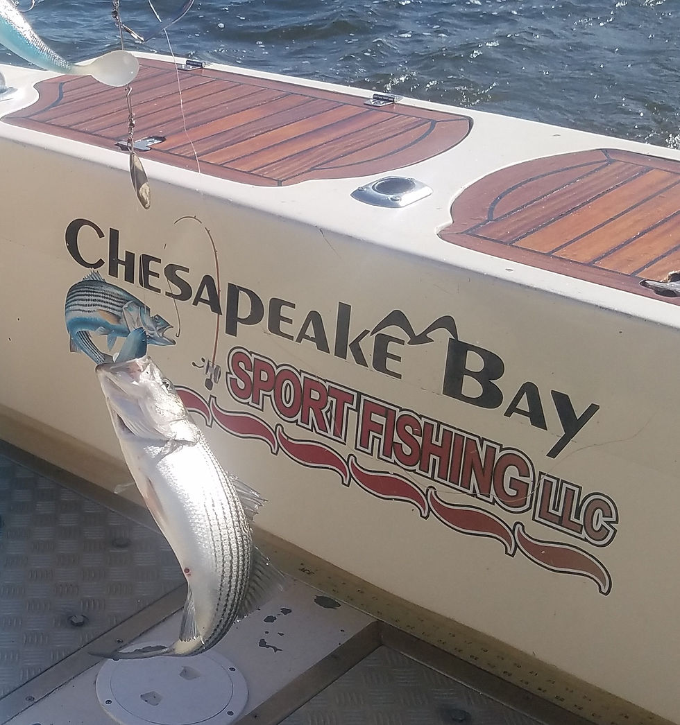 June 15th Walk On Charter (Fathers Day)