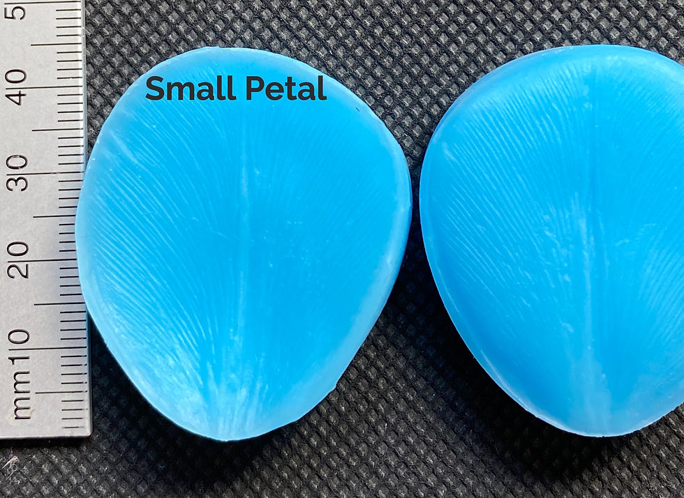 Thumbnail: Tulip Petal and Leaf Veiners