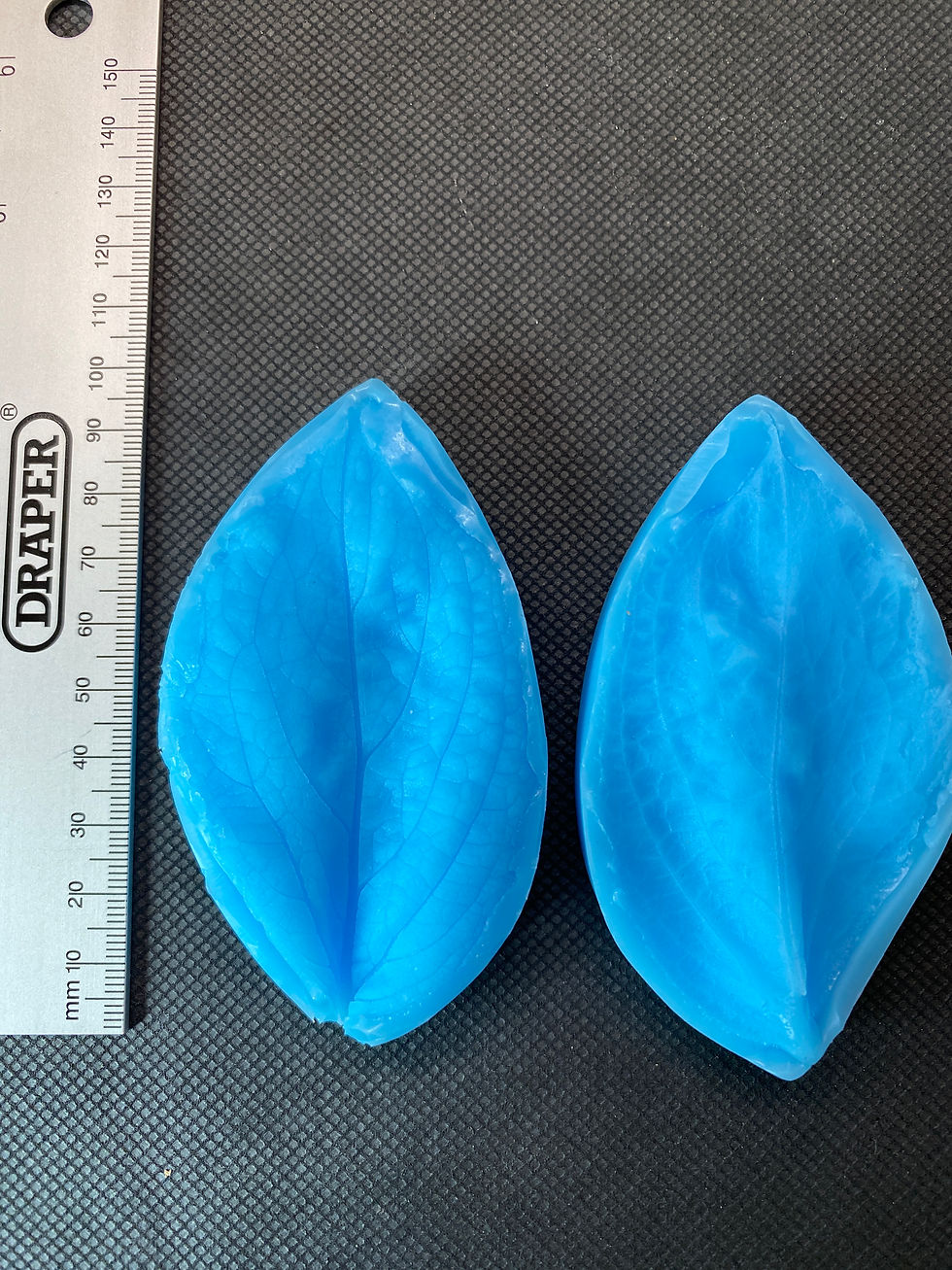 Thumbnail: Sunflower Petal and Leaf Veiners
