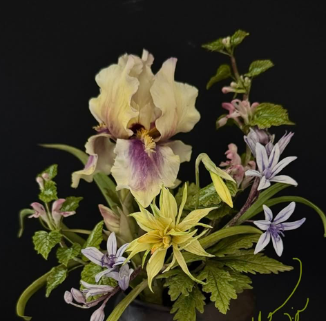 Thumbnail: Bearded Iris Set - Alan Dunn Collection