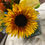 Thumbnail: Sunflower Petal and Leaf Veiners