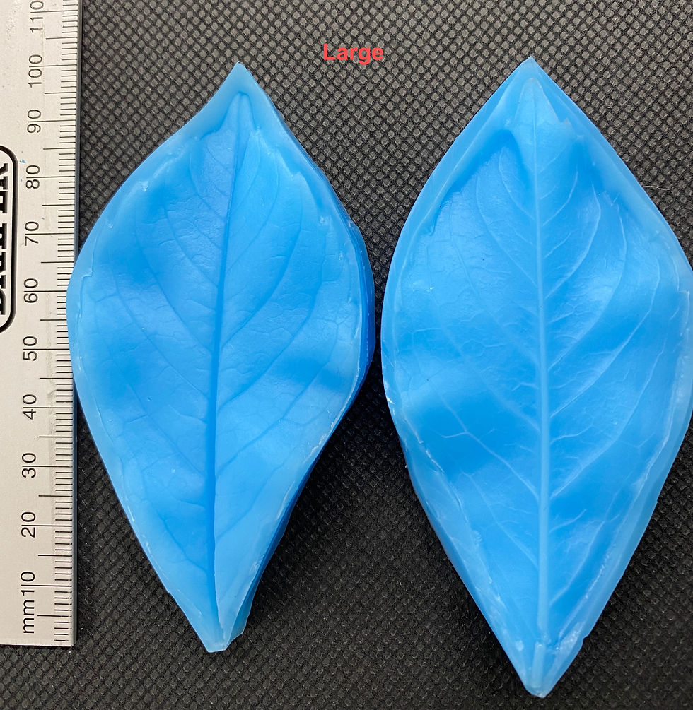 Thumbnail: Virginia Creeper Leaf Veiners
