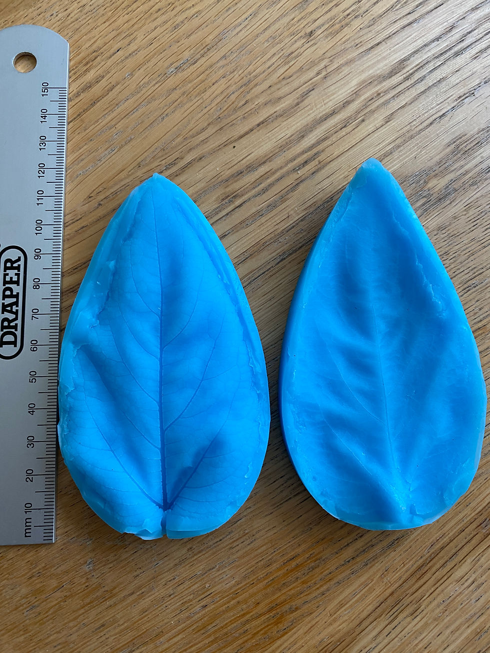 Thumbnail: Sunflower Petal and Leaf Veiners