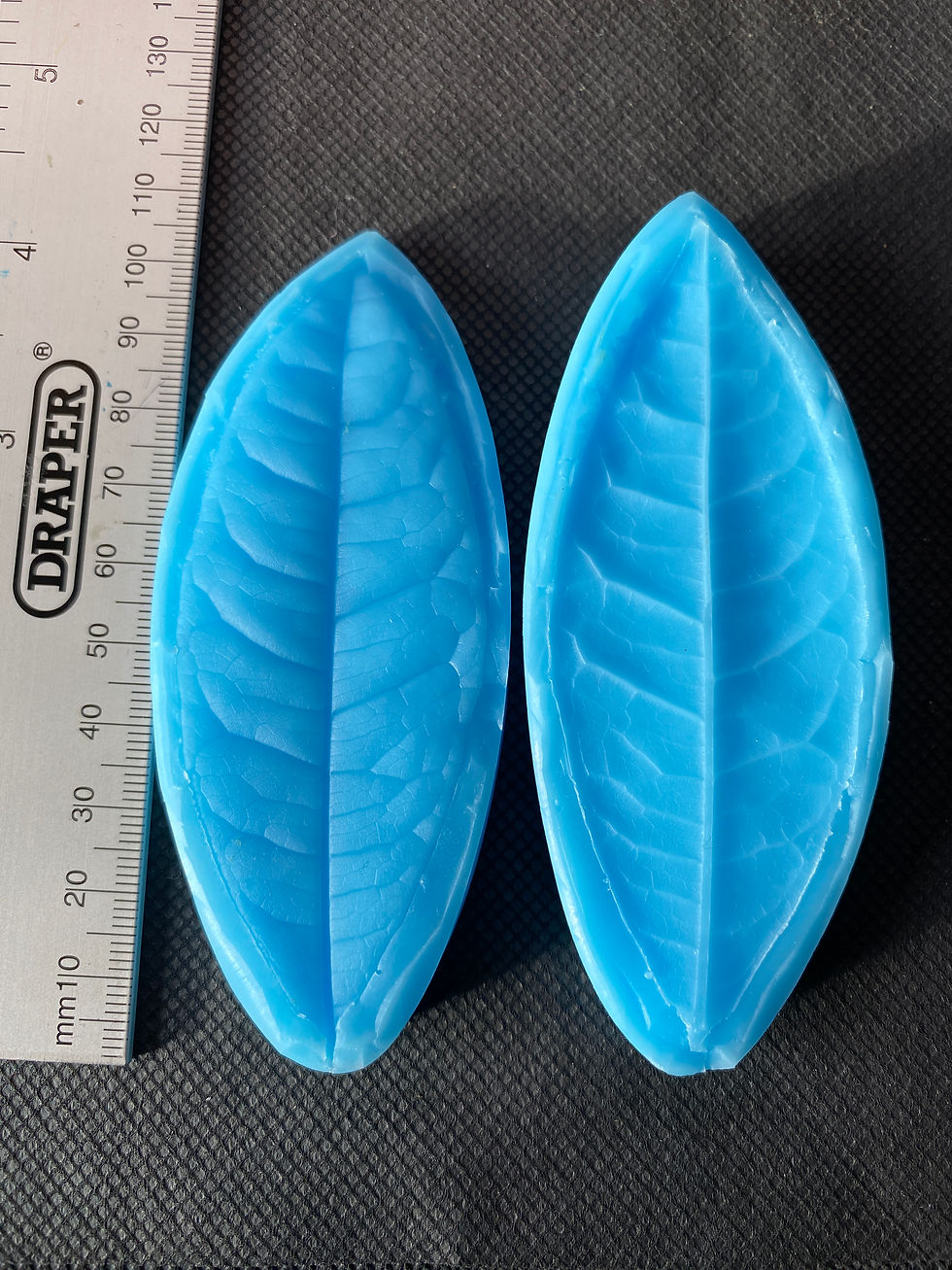 Thumbnail: Pachira - Water Chestnut