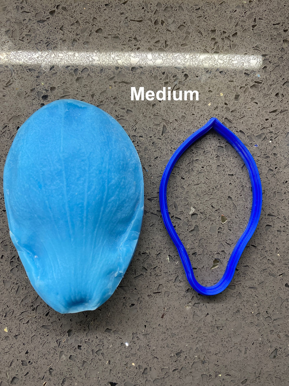 Thumbnail: Magnolia Veiners and Cutters