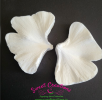Thumbnail: Gingko biloba leaf cutters