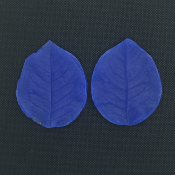 Thumbnail: Rose leaf and petal veiners