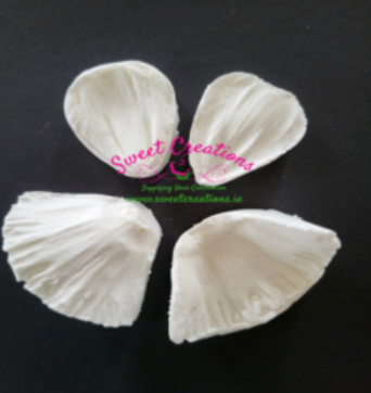 Thumbnail: Daffodil Cutters