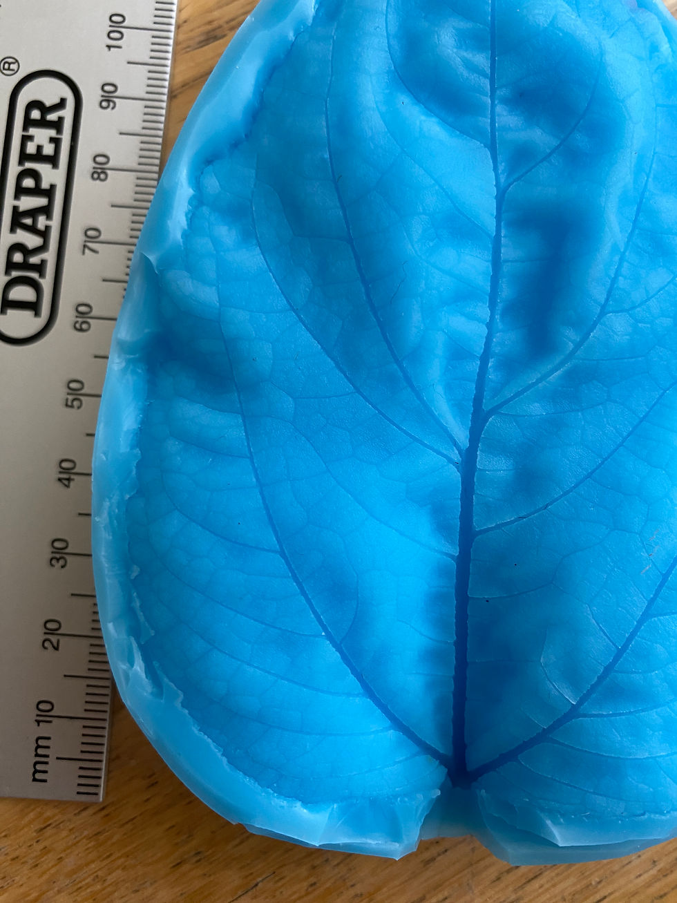 Thumbnail: Sunflower Petal and Leaf Veiners