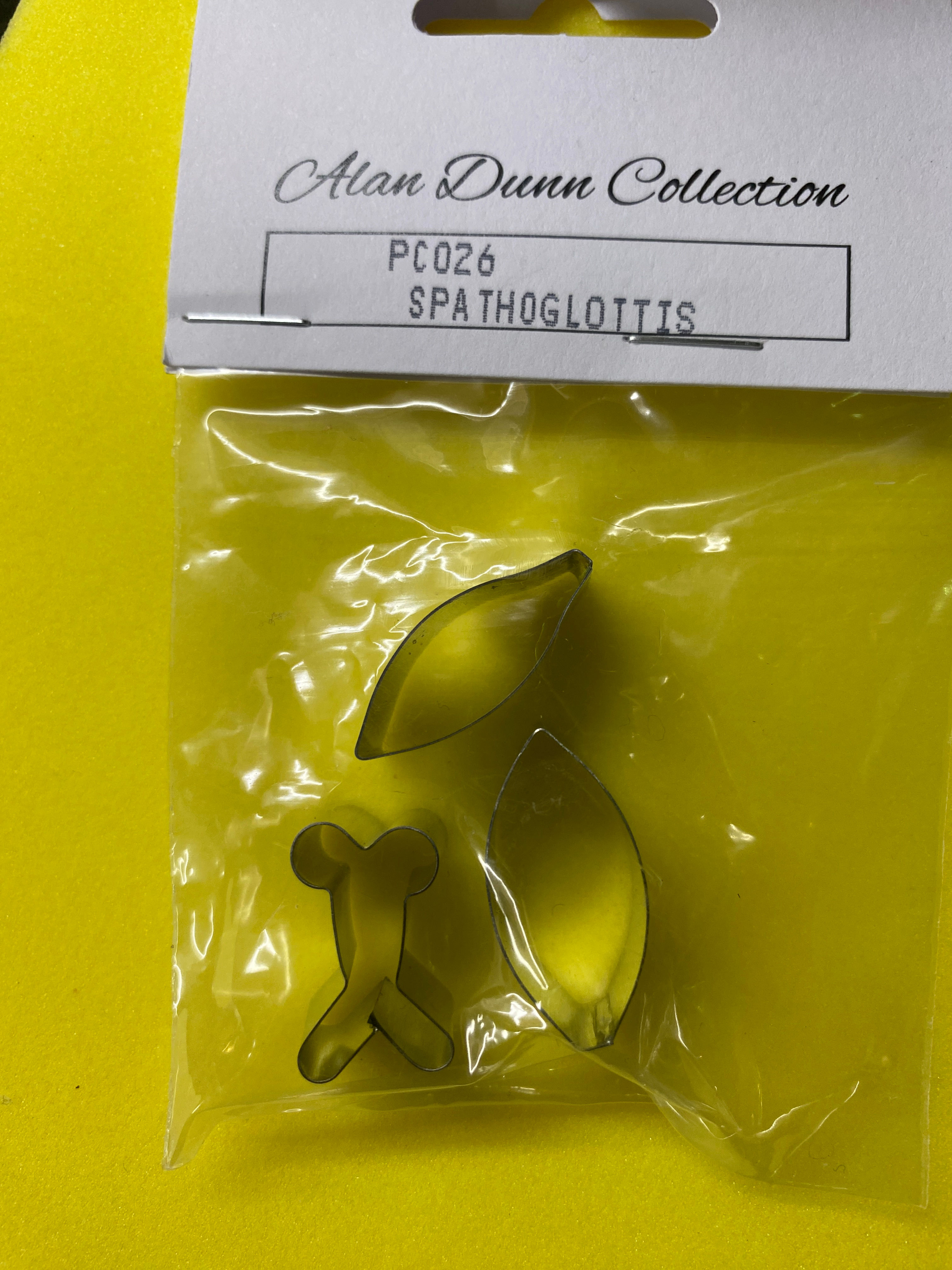 Spathoglottis Orchid Set - Alan Dunn Collection PC026