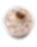 Toasted Marshmallow