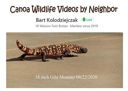 Wildlife videos Bart Kolodziejczak image