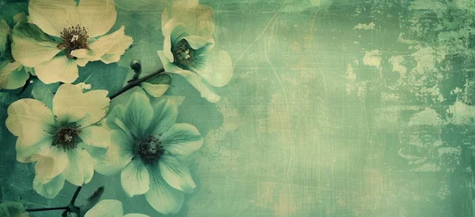 Screenshot 2026-03-12 at 6.02.58 PM.png