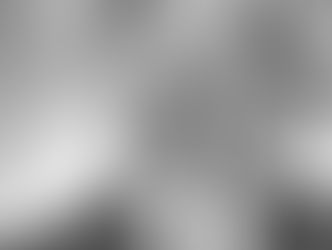 BLOG#4 I SURVIVED THE INTERVIEWS!