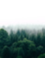 Fade ↟_edited_edited.jpg