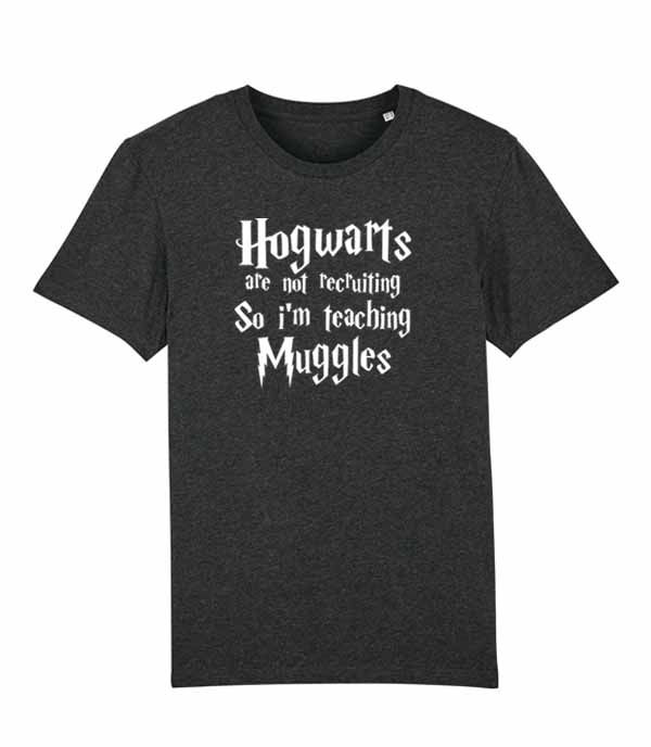 Thumbnail: Hogwarts are not recruiting so I'm teaching Muggles mens funny harry potter T-shirt in black