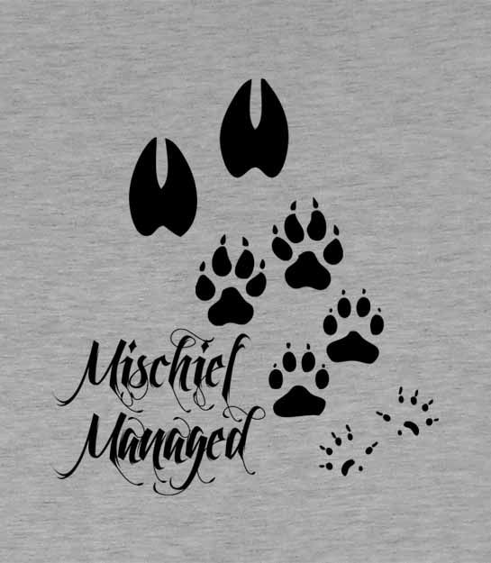 Thumbnail: Harry Potter Mischief Managed Men's T-shirt sizes S-XXL