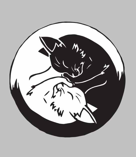 Thumbnail: Yin and Yang sleeping cats art print