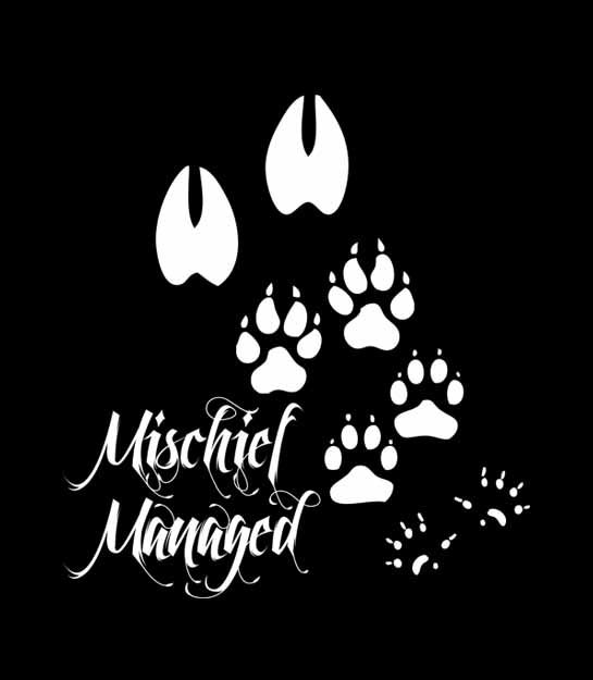 Thumbnail: Harry Potter Mischief Managed Men's T-shirt sizes S-XXL