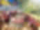 IMG_8038.jpeg