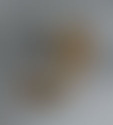 Wood Grain Collection