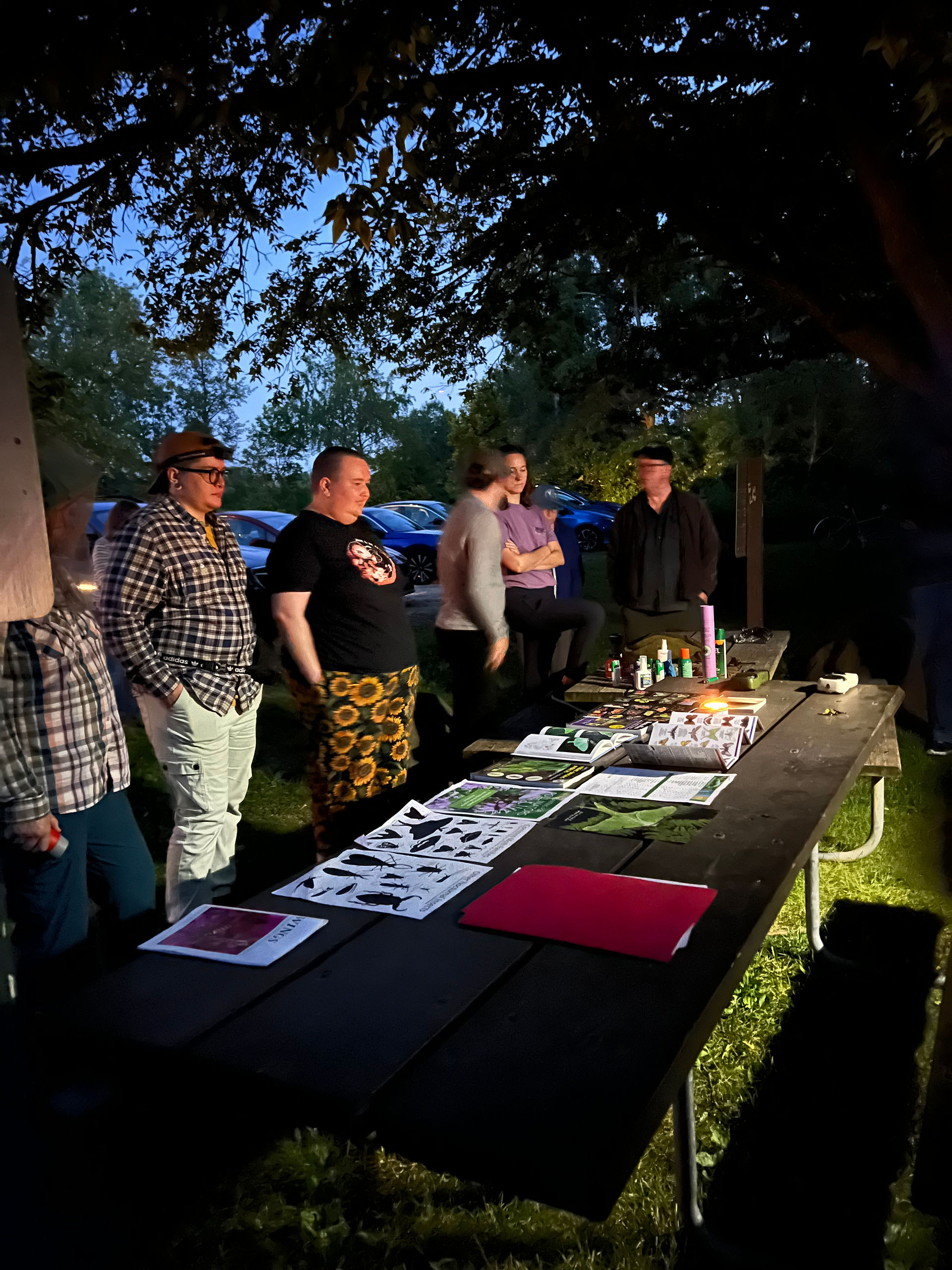Moth Walk participants view a table full of moth-related informational materials.