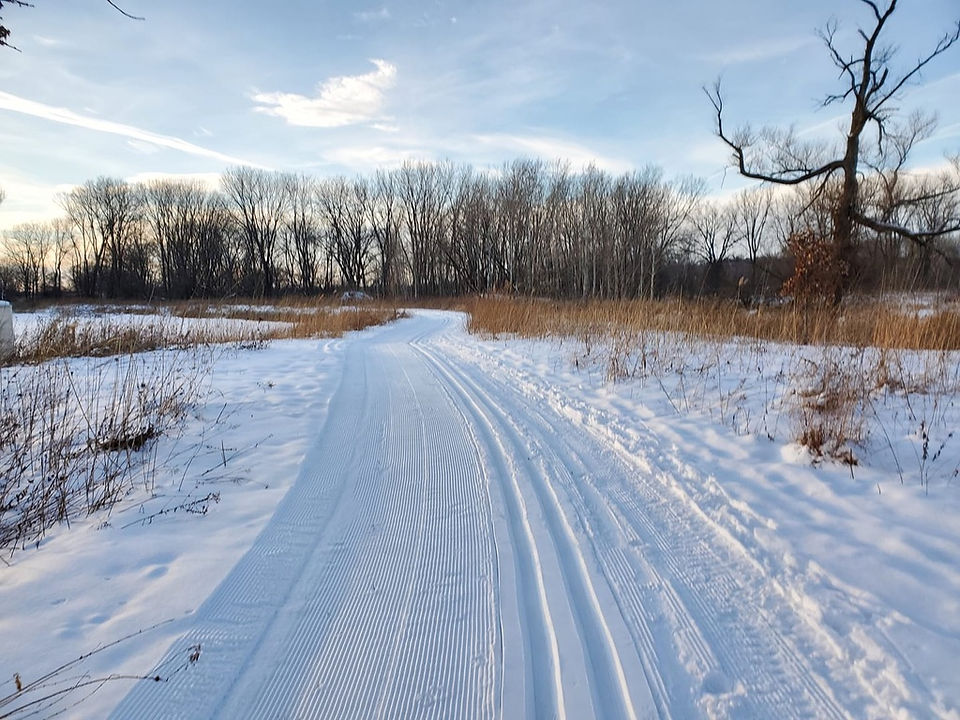 groomed ski trails in a conservation park