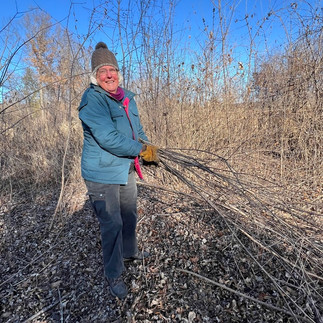 A red-cheeked woman, warmly dressed, holds branches of buckthorn she has just cut.
