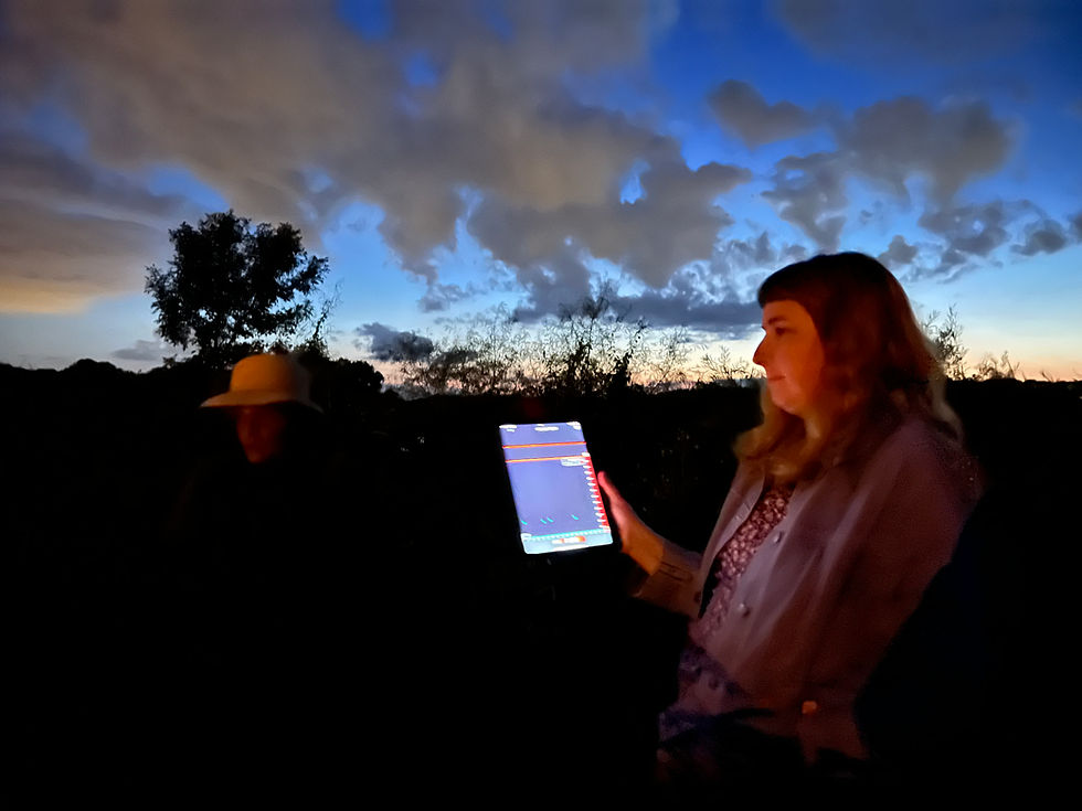 As night falls, a woman stands in a park holding a tablet computer. The screen shows acoustic sensing software for identifying bat species via their echolocation calls.
