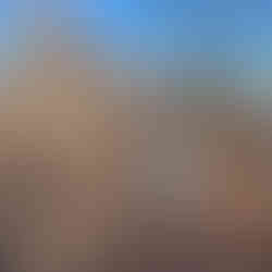 A man in warm work clothes piles cut brush on a large brush pile. Other volunteers cut brush in the background.