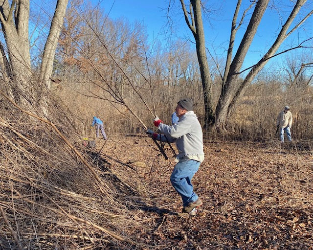 Help Restore Natural Areas at a Volunteer Work Day