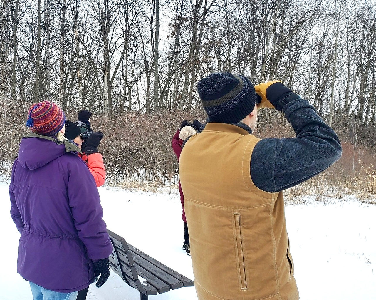 warmly dressed winter birdwatchers with binoculars