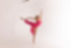 leg.jpg