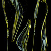 Olive Oil Photography