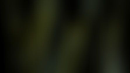 A Kiss from Rose | Breakthrough and Fast/ Good Ole Prayer