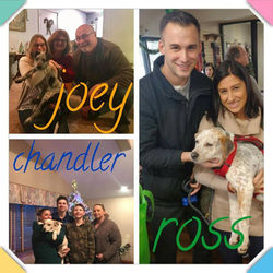 Joey, Chandler & Ross