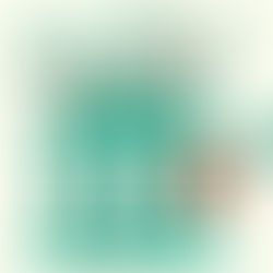 What is a Money Market Fund? 