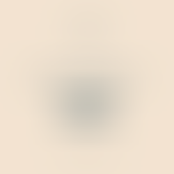 THE POWER OF COMPOUND INTEREST