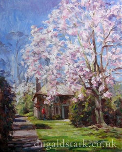Magnolia, Lanhydrock