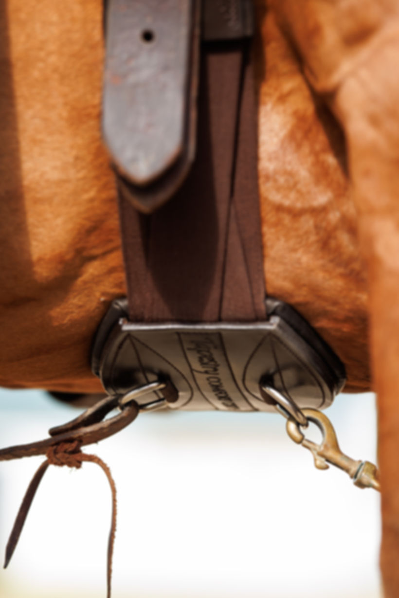 Tapestry Comfort Cinch