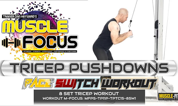 MUSCLE FOCUS WORKOUTS 2025 .jpg