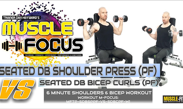 MUSCLE FOCUS WORKOUTS 2025 .jpg