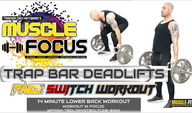 MUSCLE FOCUS WORKOUTS 2025 .jpg